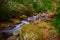 Curtis Creek near Curtis Creek Campground in the mountians of North Carolina