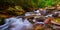 Curtis Creek near Curtis Creek Campground in the mountians of North Carolina