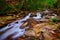 Curtis Creek near Curtis Creek Campground in the mountians of North Carolina