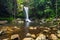 Curtis Falls in Mount Tamborine National Park on the Gold Coast