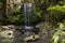 Curtis Falls Waterfall in Mount Tambourine