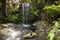 Curtis Falls Waterfall in Mount Tambourine