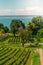 Curtural landscape with fruit plantation near Hagnau at lake Constance Germany