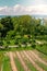 Curtural landscape with fruit plantation near Hagnau at lake Constance Germany