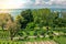 Curtural landscape with fruit plantation near Hagnau at lake Constance Germany