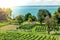 Curtural landscape with fruit plantation near Hagnau at lake Constance Germany