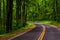 Curve along Skyline Drive in Shenandoah National Park