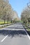curve of the avenue of cherry trees