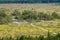 Curve hiking trails of Tolkuse bog, Estonia