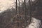 Curve left pathway covered in snow with cliff and tree