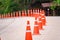 Curve line of orange traffic cone on the road at the Pa Hin Ngam National Parkthe big green field of Siam Tulip at Chaiyaphum, Th