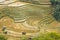 Curve at rice terraces at the mountains in Tavan Village Sapa.