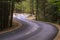 Curve road in forest in Yosemite national park in US