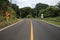 curve road and yellow zigzag sign