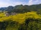 The curve of terraced rice fields