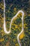 Curved bending road in the forest. Aerial image of a road. Forrest pattern. Scenic curvy road seen from a drone in autumn. Aerial
