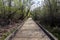 Curved boardwalk in a marshland on a cloudy, overcast day in the pacific northwest