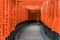 Curved corridor of Red Torii gates at Fushimi Inari Taisha Shinto shrine. Kyoto, Japan