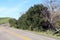 Curved country road lush hills trees blue sky