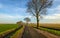Curved country road in the rural area of a Dutch polder
