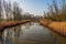 Curved creek with yellow reeds and bare trees reflected