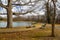 A curved footpath around a still green lake with green park benches surrounded by lush green and bare winter trees