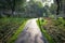 curved garden path in park