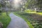 curved garden path in park