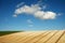 Curved lines of a ploughed field with a blue sky and white fluffy clouds of the rolling farmland in Sussex, England, UK