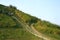 Curved mountain path in the morning at Doi Pha Tang, Chiangrai,