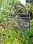 CURVED OLD FASHIONED WOODEN GATE IN GARDEN