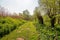 Curved path in a Dutch park in the spring season