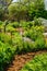 Curved pathway through garden