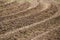 Curved pattern of ridges and furrows of a plowed field