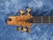 Curved patterned wood bass guitar headstock