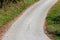 Curved paved country road surrounded with dense small light brown fallen leaves and uncut grass