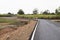 Curved paved road with traffic signs and sugar cane forest