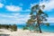 Curved pine trees on the sandy shore of the lake.  lake Baikal.  Landscape.