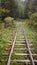 The curved railroad tracks run through bushes and trees and turn right. Industrial railway line for transporting boards, timber