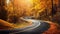 Curved road on autumn, beautiful curved pass with vehicles and colorful autumn nature colors on trees with sunset light