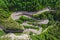 Curved road with cars and beautiful forest landscape.