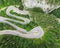Curved road with cars and beautiful forest landscape. Bicaz gorges, Romania.