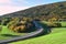 Curved road on hillside with green covered filed and fall foliage