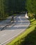 Curved road out of Sils Maria, Switzerland.