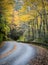 Curved road twists through fall color in the mountains
