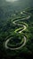 Curved Road Through Vibrant Green Forest