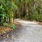 A curved rock walking trail through a tropical botanical garden