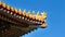 Curved roofs in traditional Chinese style with figures on the blue sky background. The Imperial Palace in Beijing