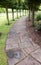 Curved row of trees lining damp paving slabs