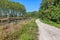 Curved rural road in Piedmont, Italy.